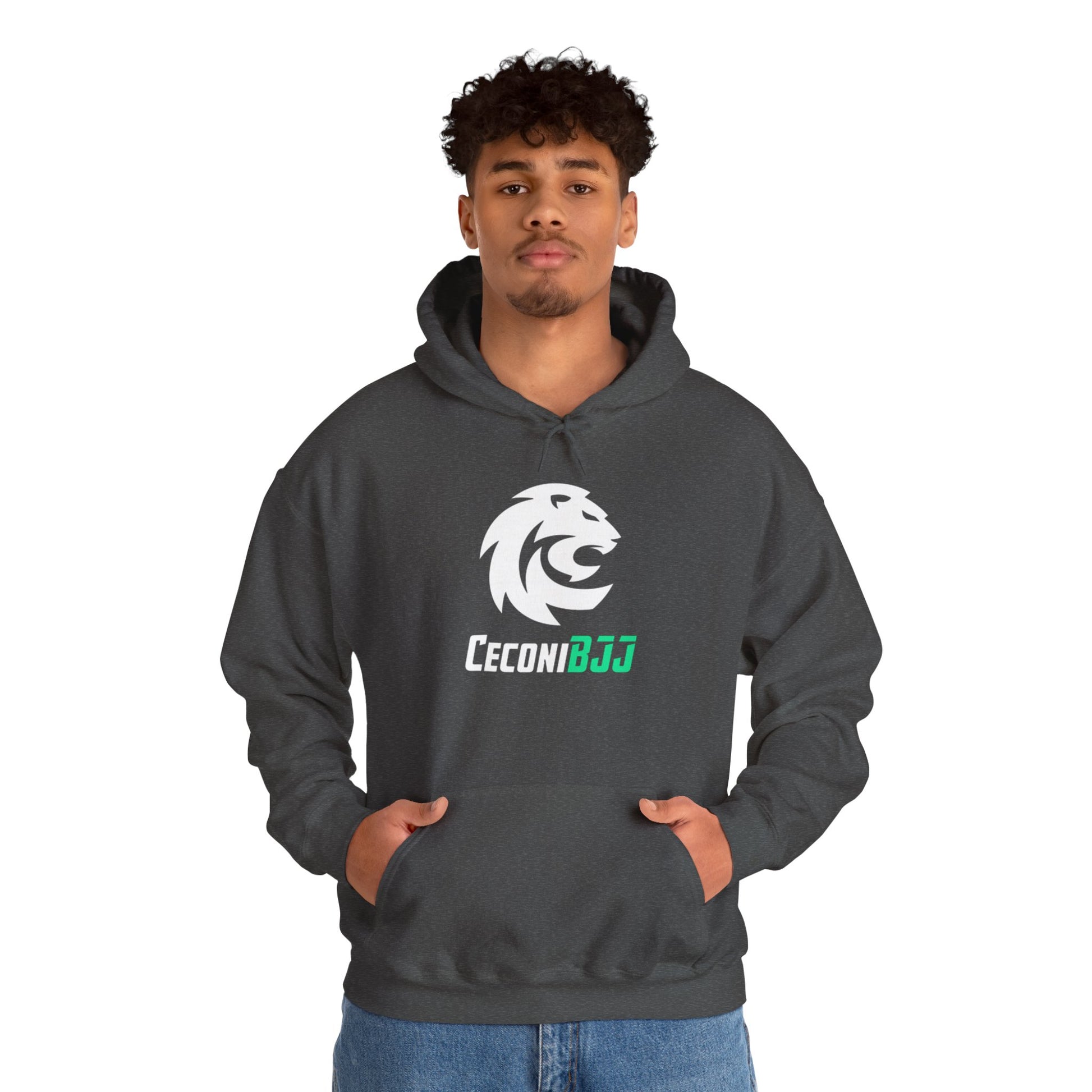 Ceconi StormCore Men's Hoodie