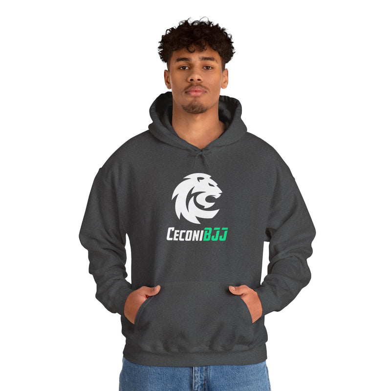 Ceconi StormCore Men's Hoodie