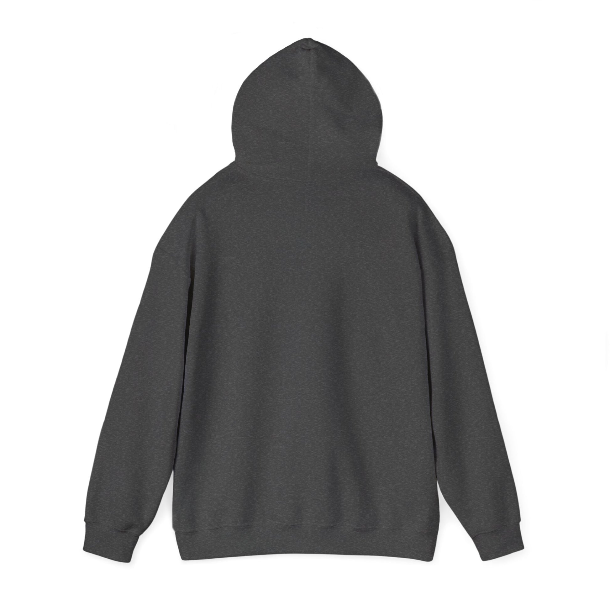 GDTW StormCore Japanese Oni Women's Hoodie