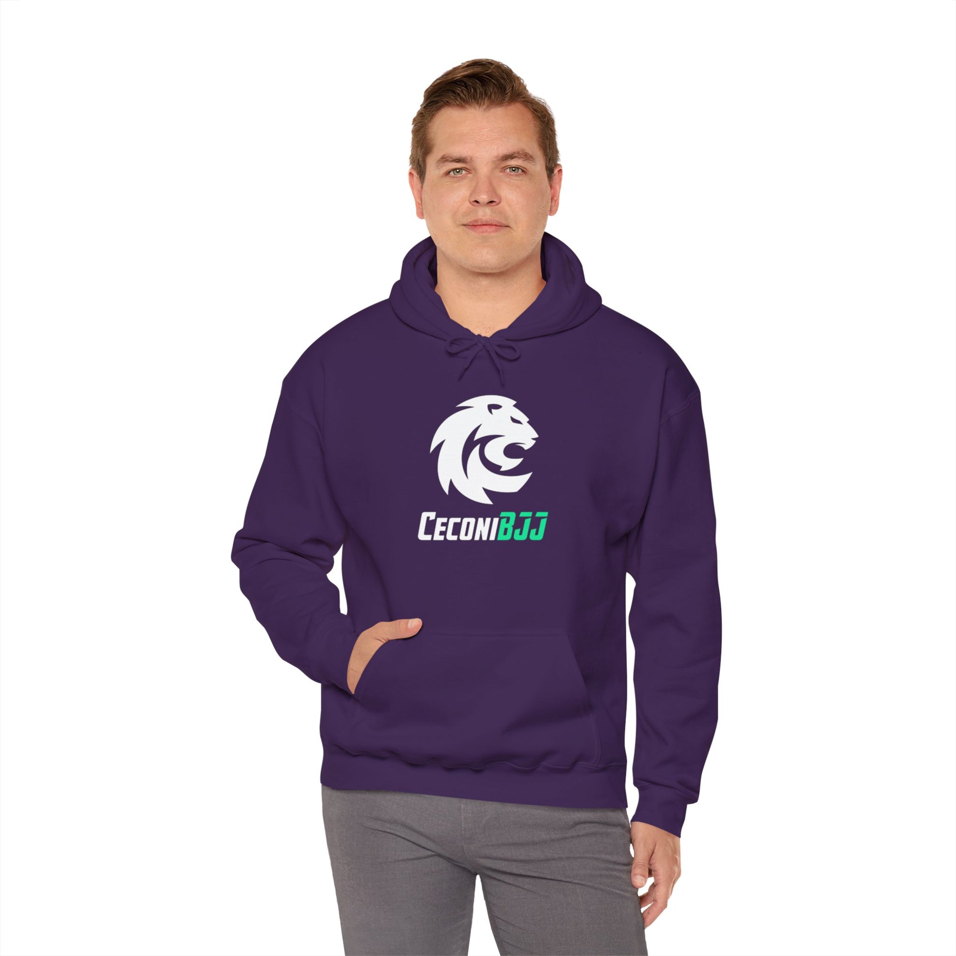 Ceconi StormCore Men's Hoodie