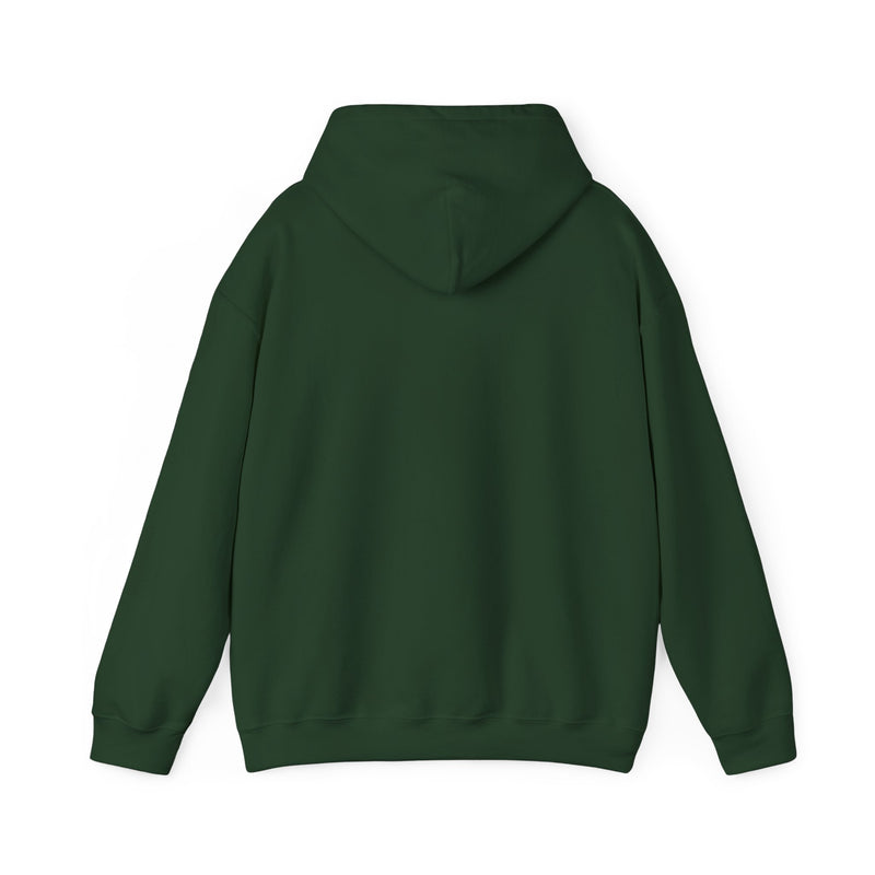 GDTW StormCore Japanese Oni Men's Hoodie