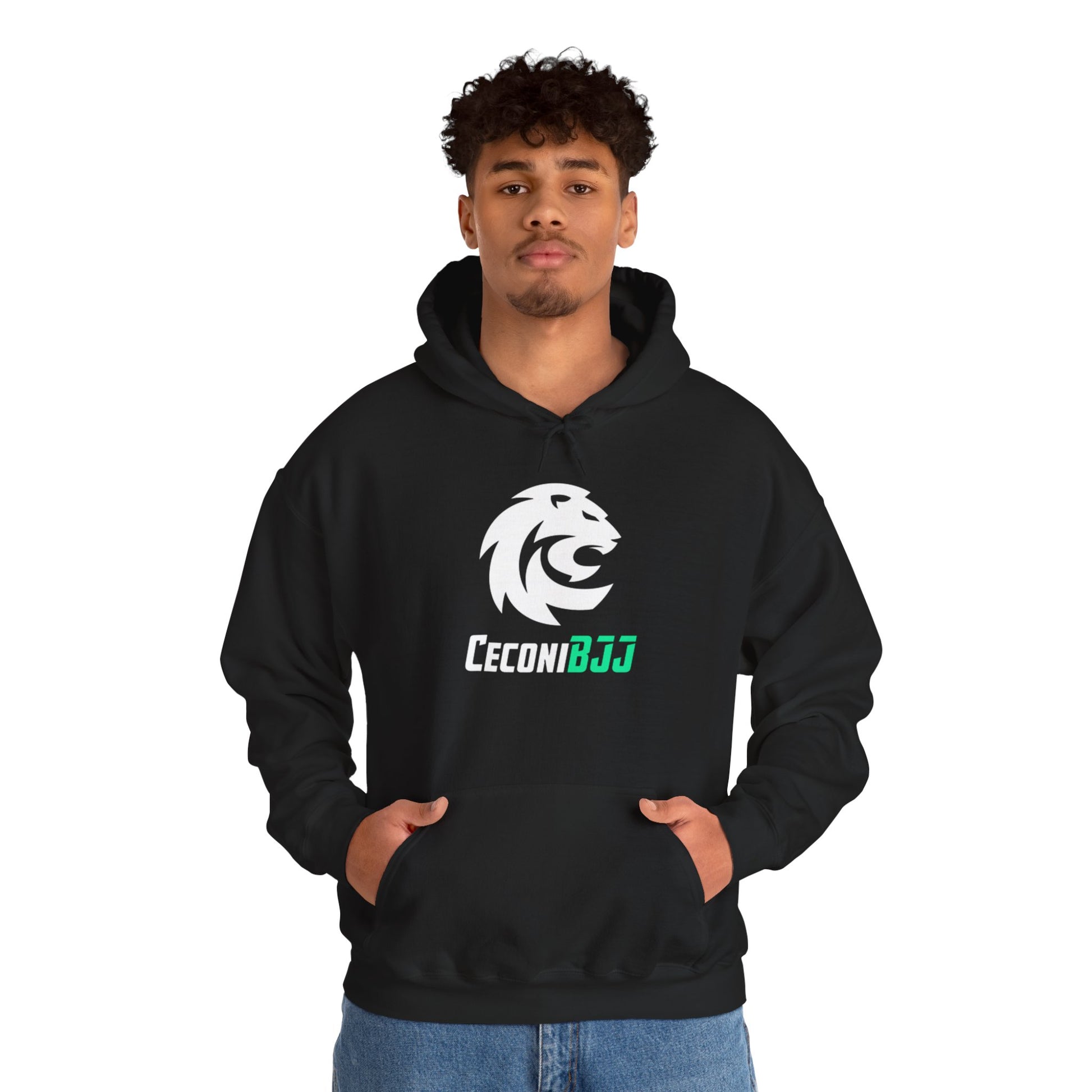 Ceconi StormCore Men's Hoodie