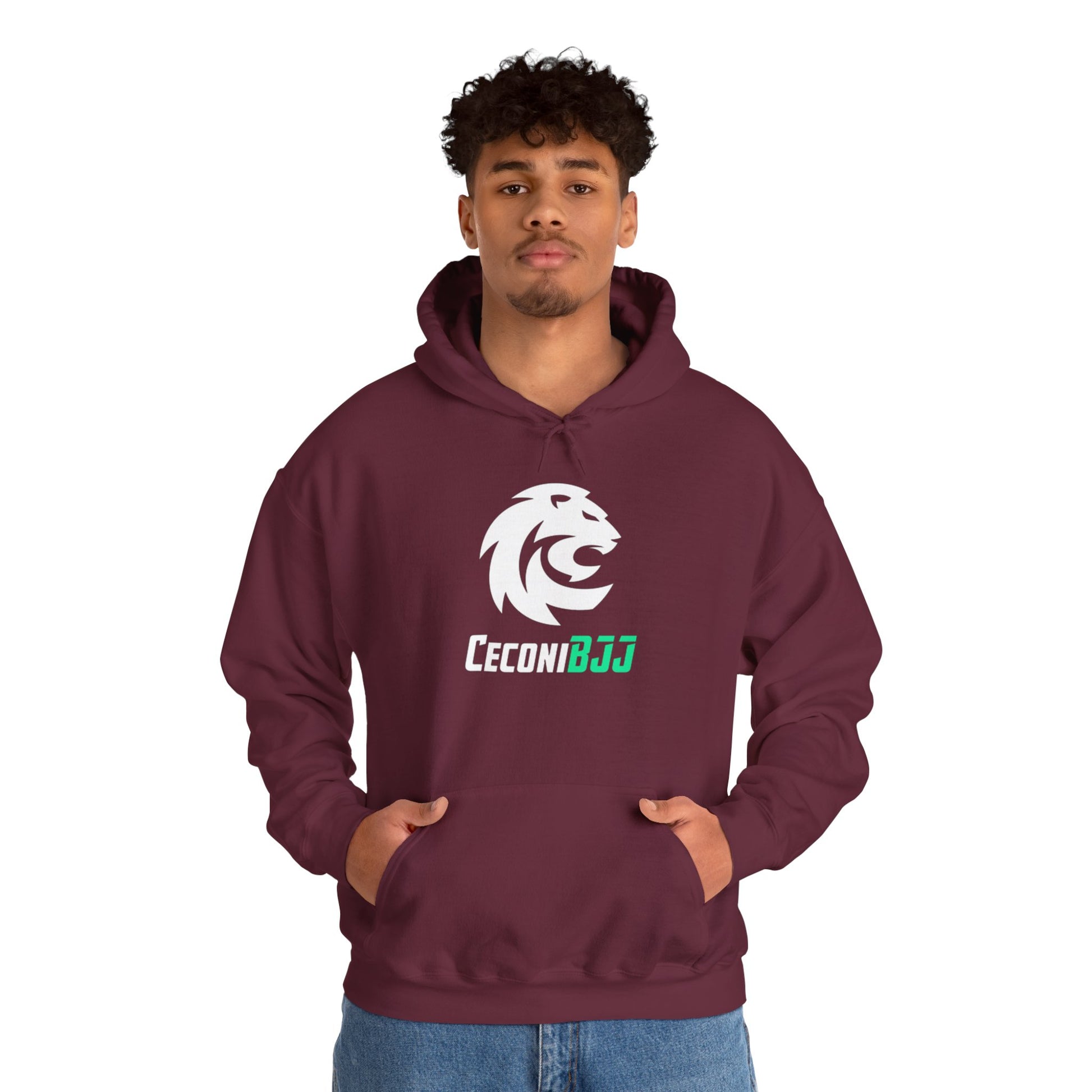 Ceconi StormCore Men's Hoodie