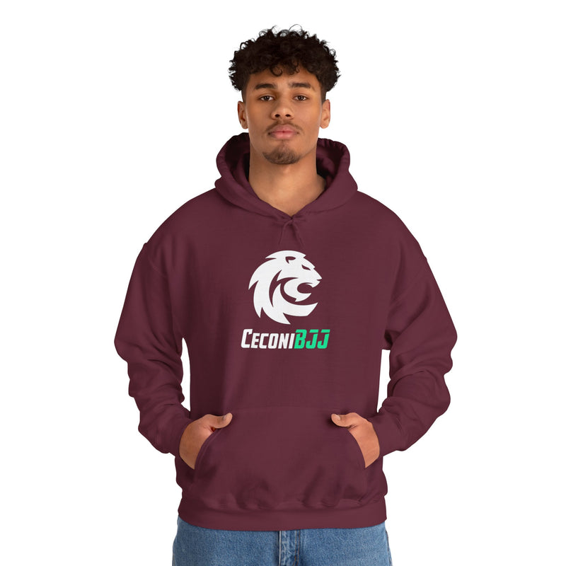 Ceconi StormCore Men's Hoodie