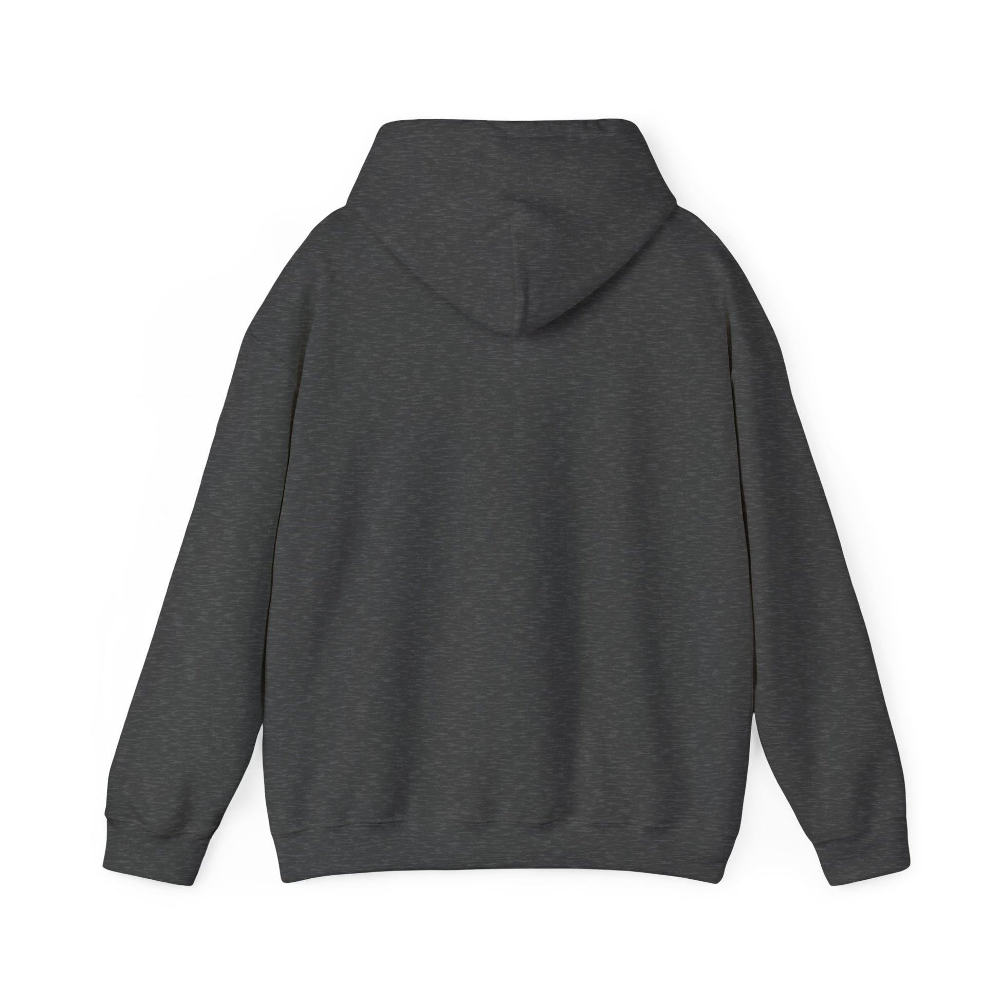 GDTW StormCore Japanese Oni Women's Hoodie