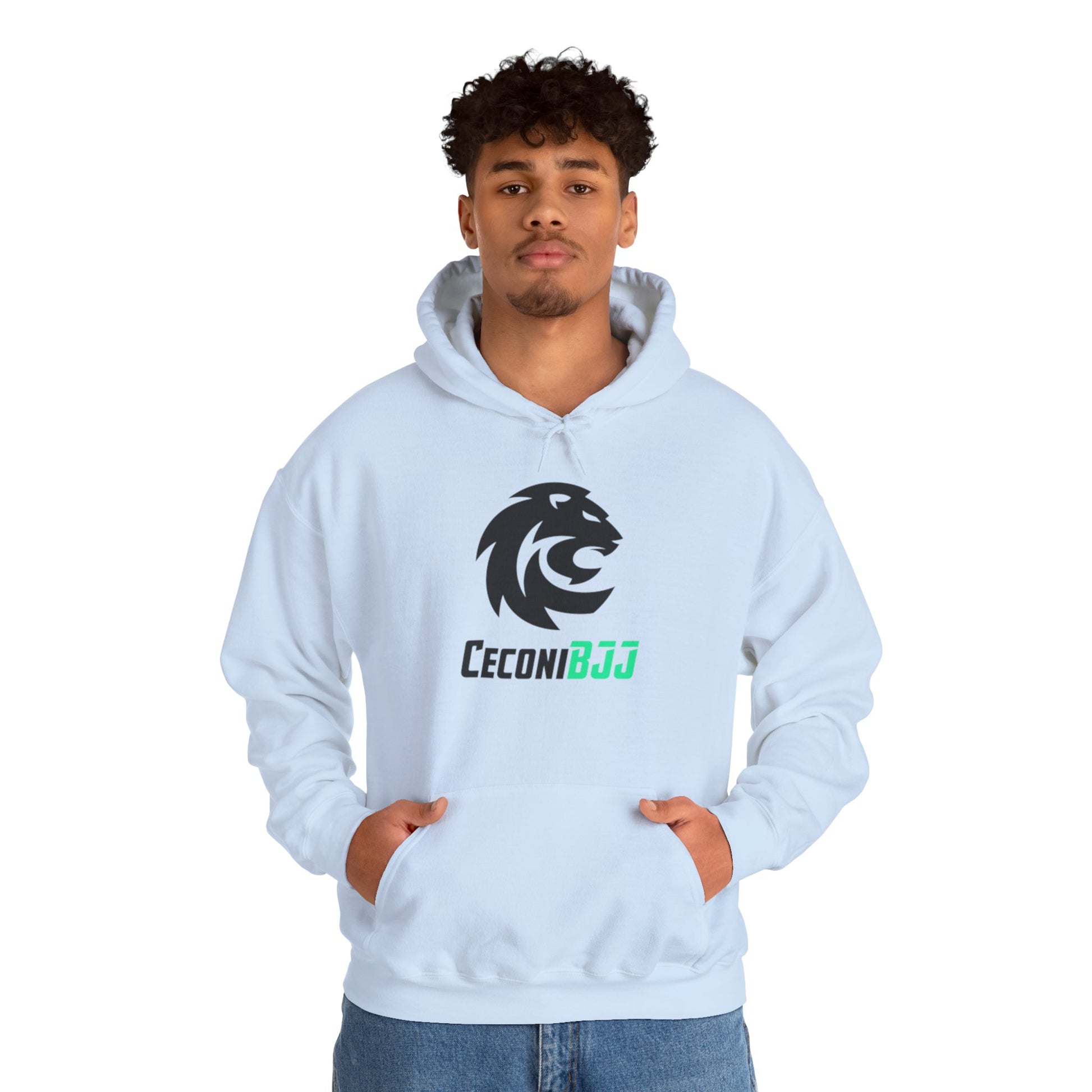 Ceconi StormCore Men's Hoodie