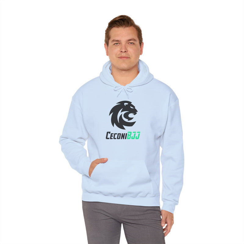 Ceconi StormCore Men's Hoodie