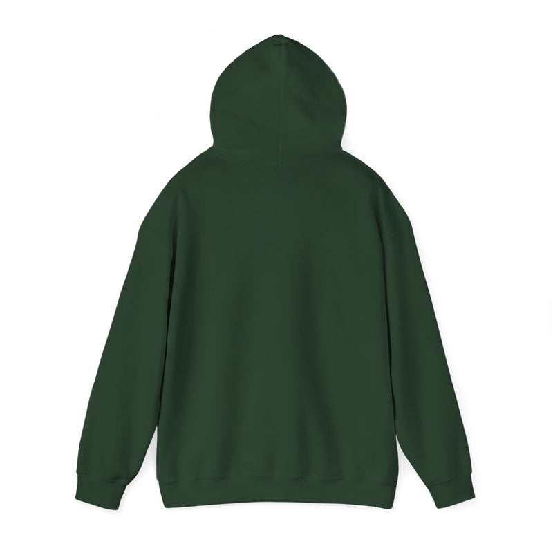 GDTW StormCore Japanese Oni Men's Hoodie