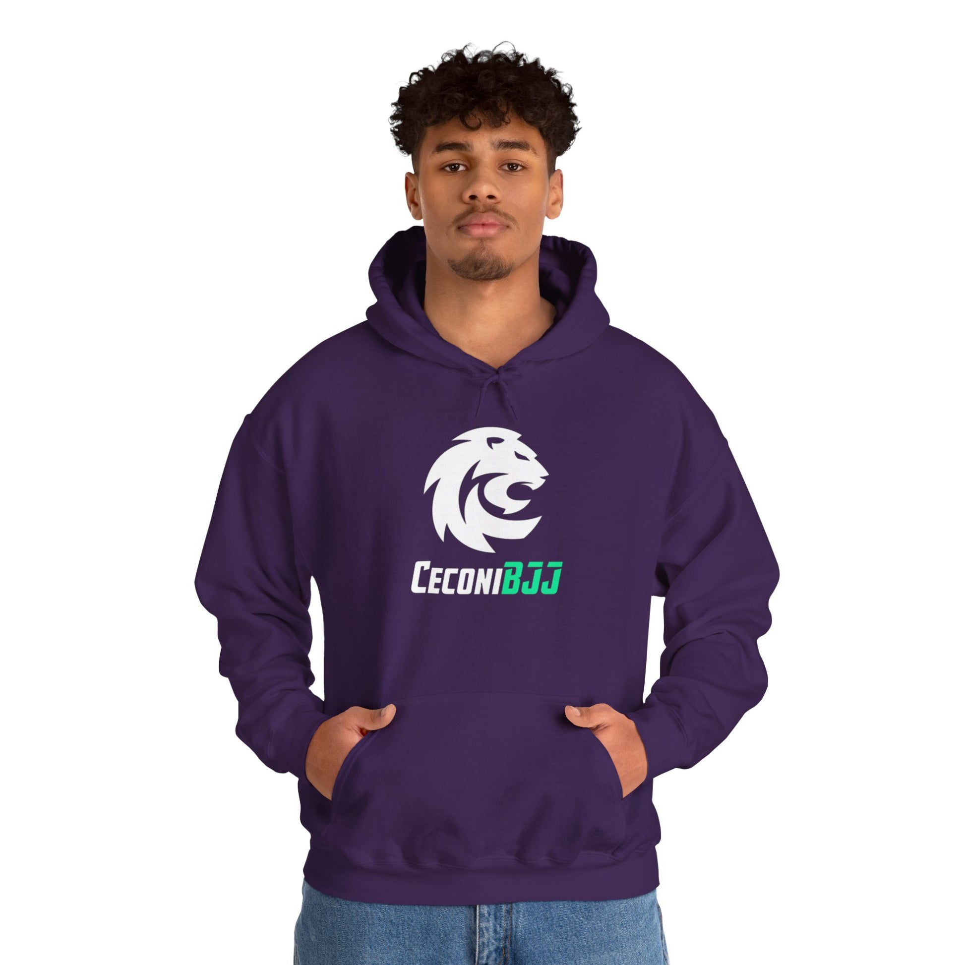Ceconi StormCore Men's Hoodie