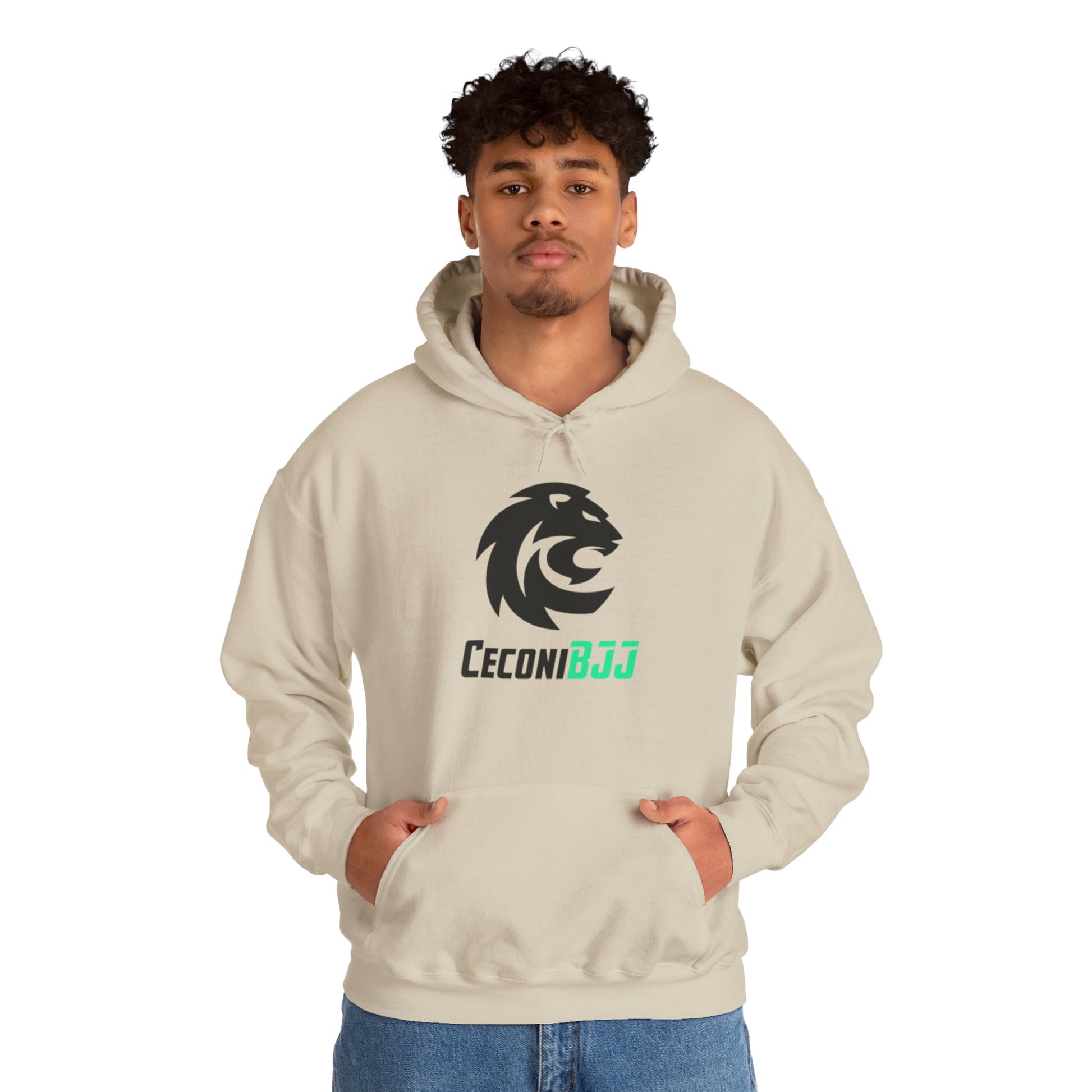 Ceconi StormCore Men's Hoodie