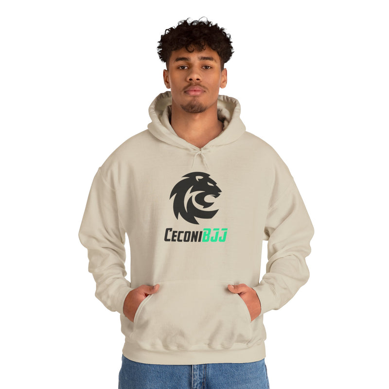 Ceconi StormCore Men's Hoodie